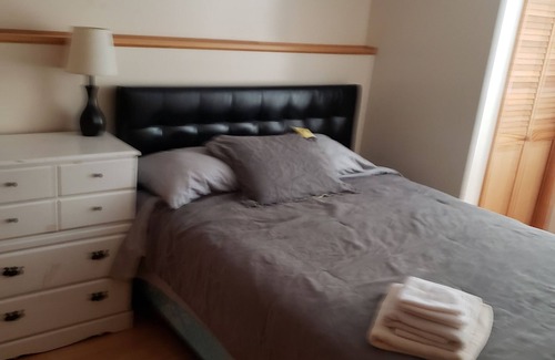 South Haven Cabin | Spacious 7-bedroom 2 cabin in awesome Annandale with WiFi, AC