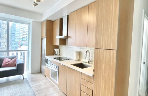 Toronto Entertainment District Apartment | Toronto Rooms and Suites