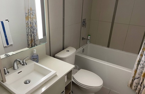 Downtown Toronto Apartment | 1 + 1 Bedroom Apartment In Entertainment District Downtown Toronto