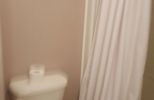 Waterloo House | 1 room fo Female Only Prefered Student, or professional studying/working
