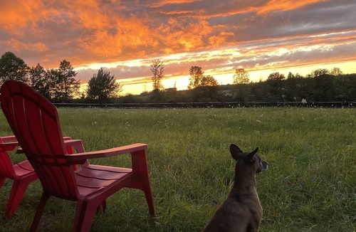 Meaford Apartment | 16 acre pet friendly one bedroom apartment on hobby horse farm.