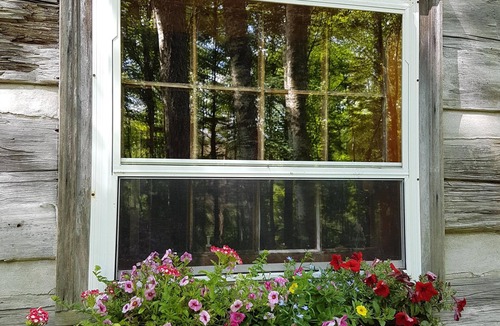 Durham Region Cabin | 1820 Log Cabin on Private 300 acres. Mtn biking, Hiking, x-country Skiing