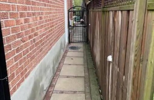 Alderwood Apartment | 2 BEDR00M APT-Etobicoke-Spacious & Bright