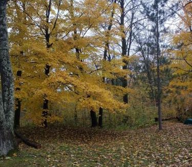 Pine City House | 2 bedroom-Riverfront-Fireplace - Pet ok