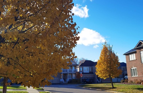 Newmarket Apartment | 20pent off! Cozy Suite in Newmarket! Sep Entry, 1 Parkingn