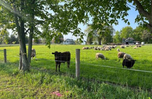 Tillsonburg Apartment | 4 bedroom apartment on 75 acre farm