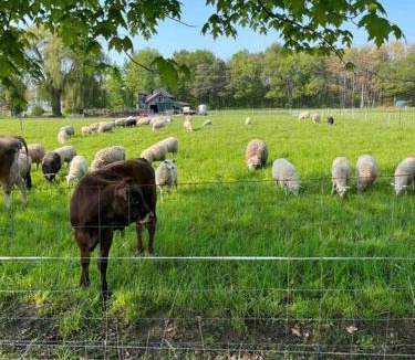 Tillsonburg Apartment | 4 bedroom apartment on 75 acre farm