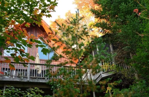 Dysart et al Cottage | 4 season log cottage on Kennisis Lake