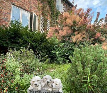 Forest Hill South Bed & Breakfast | 84 m² Bed and breakfast ∙ 4 guests