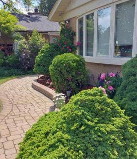 Rexdale Apartment | 85 m² Apartment ∙ 1 bedroom ∙ 2 guests