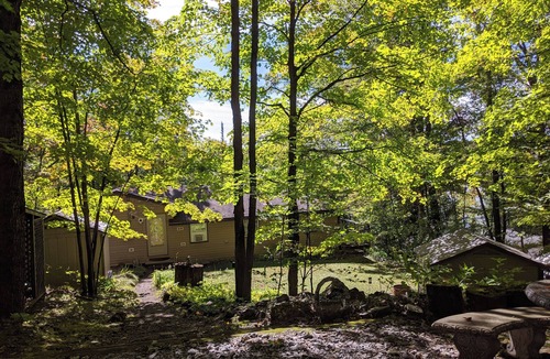 Highlands East Cottage | A Tory Lake Treasure in Haliburton County - Lake front cottage