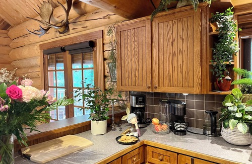 Mission Cabin | Airy Log Cabin