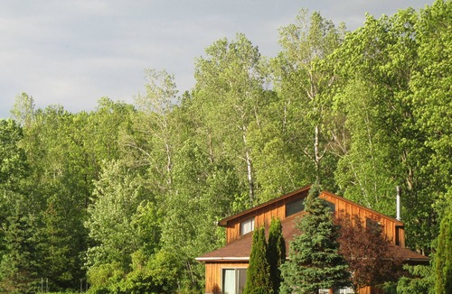 Finlayson House | Amazing Vaulted Space Surrounded By Decks In The Forest With A 120" Home Theatre