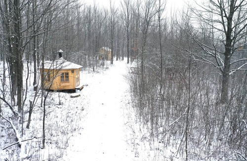 Alexandria Cabin | Anastasia’s Domain 1, Farm stay, off grid cabin in a beautiful forest!