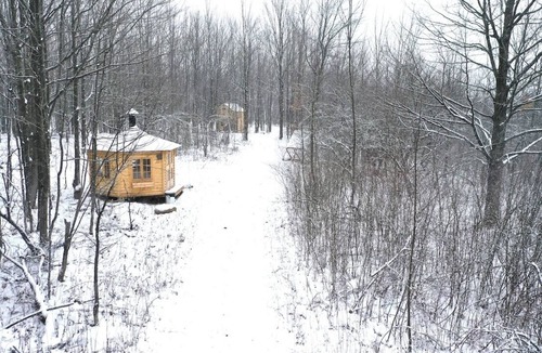 Alexandria Cabin | Anastasia’s Domain 2, Farm stay, off grid cabin in a beautiful forest!
