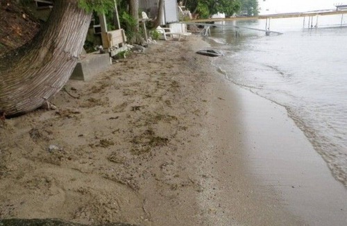 Beaverton Cottage | Beach-Front Private Paradise Directly on Lake Simcoe