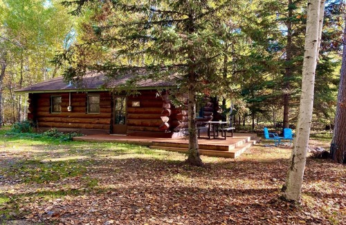 Backus Cabin | Beautiful log cabin on a private wooded lot