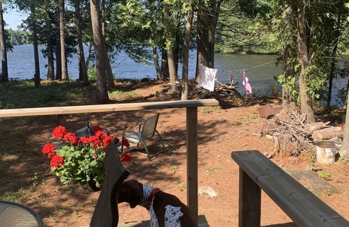 Nipissing Township Cottage | Beautiful, Rustic Island Cottage on a Gorgeous Lake