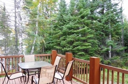 Marcell Cabin | Beautiful Winter LAKE Lodge *Jacuzzi*Fireplace*Pool Table*PingPong*Wifi*Quiet