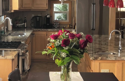 Bobcaygeon Cottage | Big Cat's Hideaway