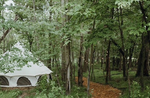 Battle Lake RV Rental | Birch Tent at The Grove Glamping