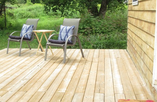 North Kawartha Cabin | Cabin & Forest near Beach