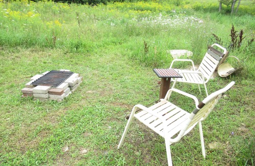 North Kawartha Cabin | Cabin & Forest near Beach