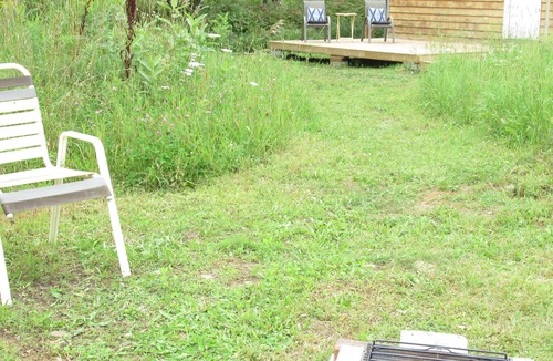 North Kawartha Cabin | Cabin & Forest near Beach