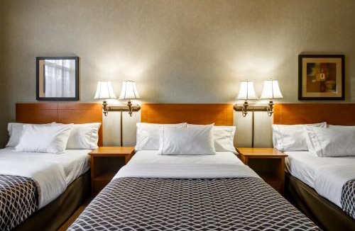 Provost Hotel | Canalta Hotel Provost