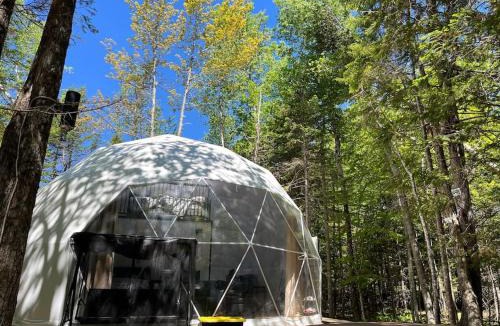Chamcook Ski Chalet | Chamcook Dome