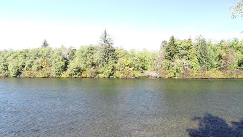 Campbell River Hotel | Chateau Riverside