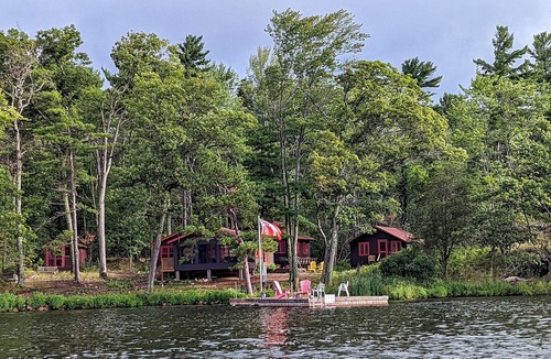 Selwyn Cabin | Classic Stony Lake "Island Life" - rustic cabins with fresh amenities