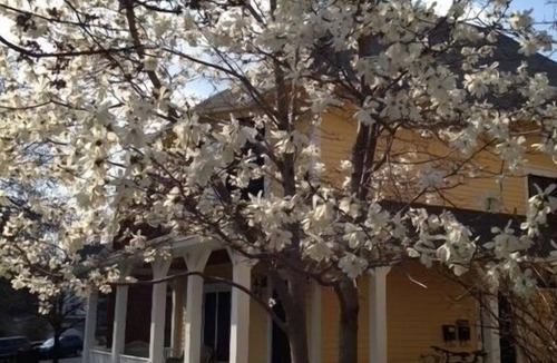 Summit Hill Condo | COMFORT and CHARM - Stay in St. Paul's FAVORITE rental in historic Summit Hill!