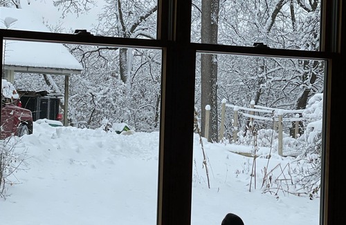 White Bear Lake House | Cozy bungalow in beautiful White Bear Lake.