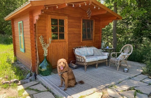 West Perth Cabin | Cozy Cabin in the Country (Pet-Friendly!)