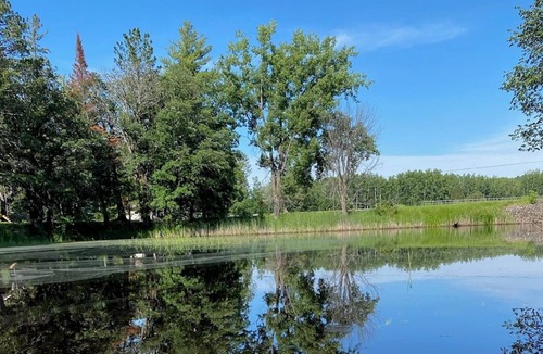 International Falls House | Cozy Cabin on River/ Lake Accessible One Level Private Duplex