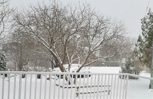 Victoria Road Cottage | Cozy cottage by Balsam Lake. 5 mins to beach