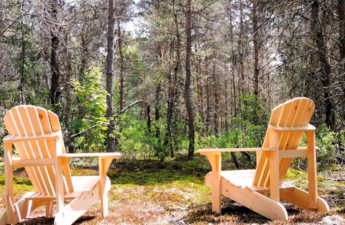 Joly Cabin | Cozy Tiny Cabin w Nature Shower & Wi-Fi | Near Mikisew Provincial Park & Lakes