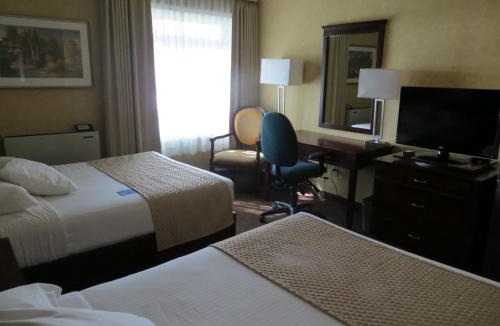 Northeast Mississauga Hotel | Days Inn by Wyndham Toronto West Mississauga