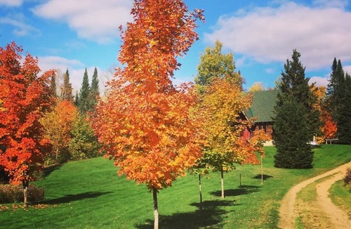 Strong Cabin | Dog friendly 100 acres of private woods hiking trails sleeps 8 play set