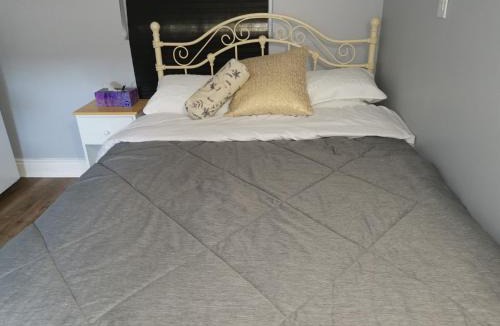 Ottawa Division Apartment | Downtown Studio