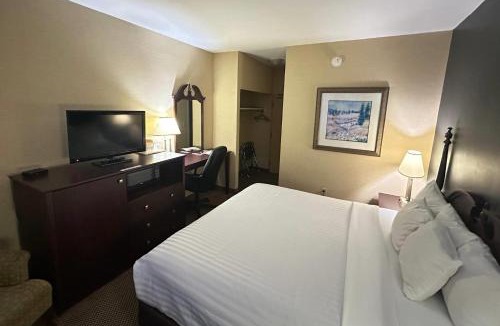 Sunnyside Cabin | Econo Lodge City Centre