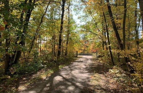 Hinckley House | Enjoy over 50 acres of Nature