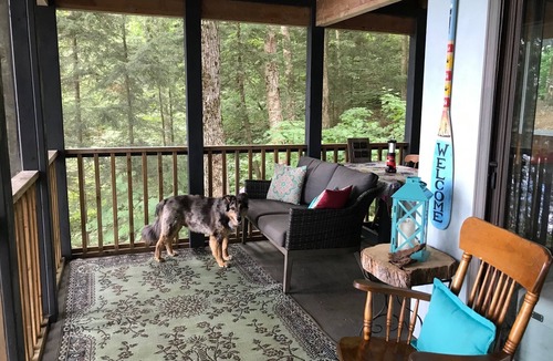 Lake of Bays Cabin | Explore an Off-Grid Waterfront Yurt Getaway on 11 Private Acres!