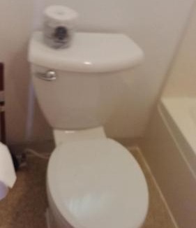 International Falls Hotel | Falls Motel