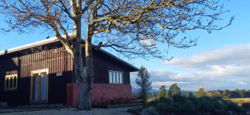 Springfield Ski Chalet | Fantails Rest - Torokiki