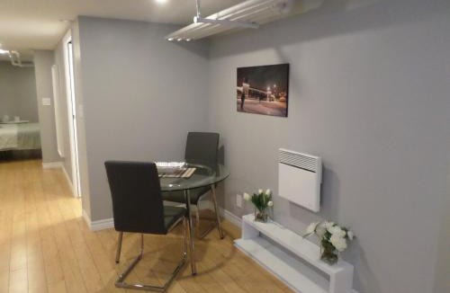Centretown Apartment | Fantastic and Modern Downtown 1-Bed Basement Apt., parking Wi-Fi and Netflix included