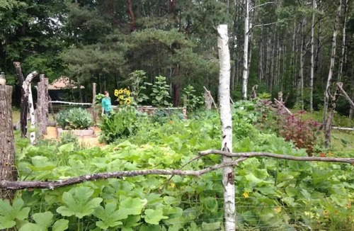 Bayview Heights RV Rental | Fiddlehead Farm Yurt