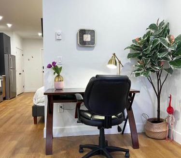 Downtown Halifax Apartment | Flamingo Grove, Vibrant Studio #211, Downtown, AC