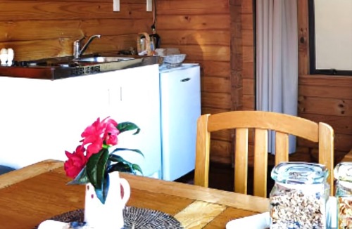 Fox Glacier House | Fox Glacier Lodge